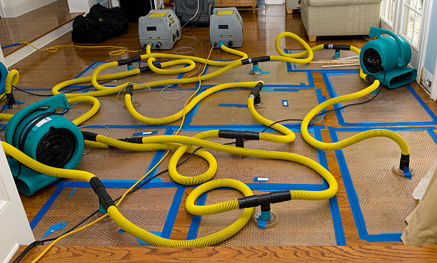 Professional Crawl Space Water Removal technician working in Plainview, NY